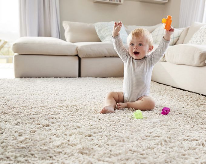 Capitol Carpet Care Upholstery Cleaning