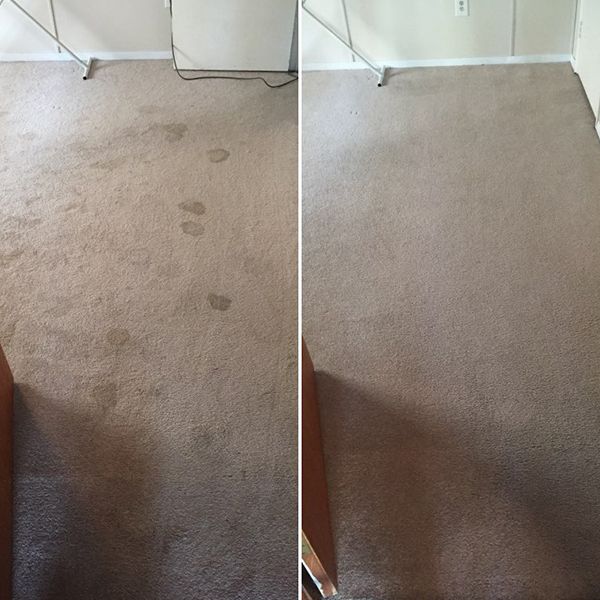 Divinci Carpet Cleaning Services