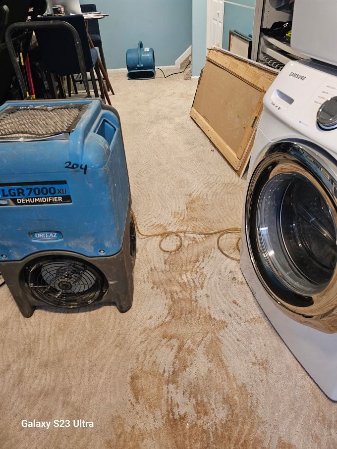 Carpet bring dried with dehus, fans.